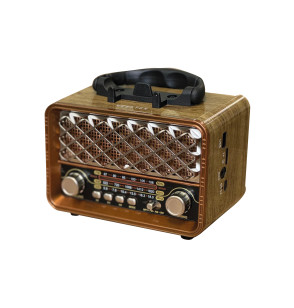 MG-R1956 Nostaljik Radyo